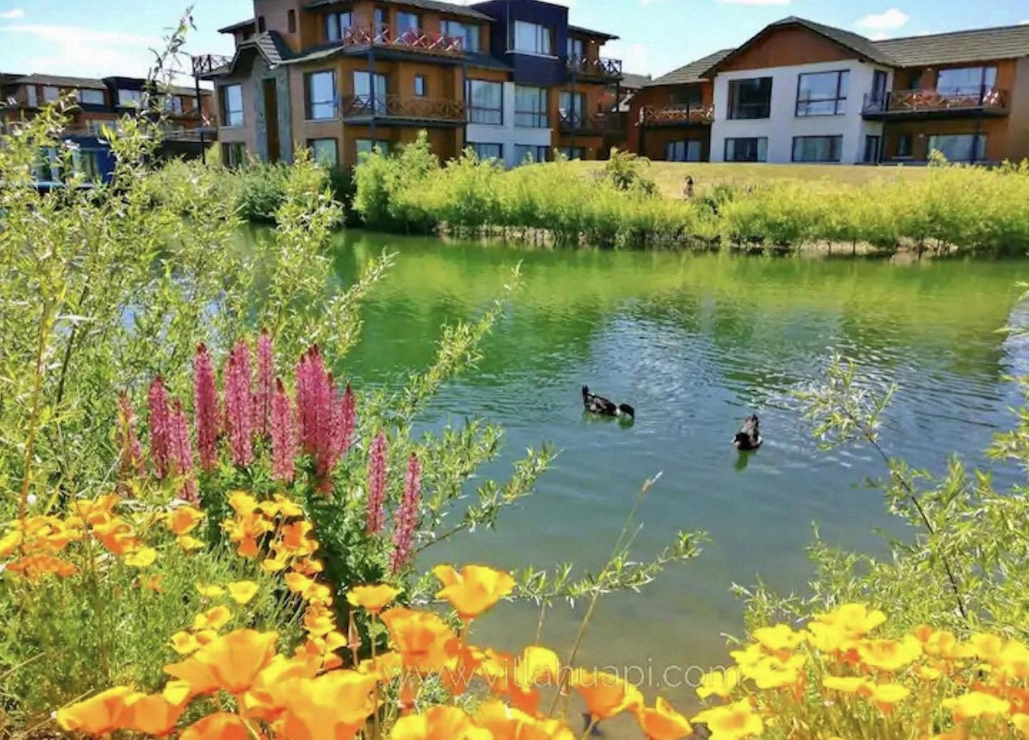 Blue Aparts Dina Huapi Bariloche المظهر الخارجي الصورة